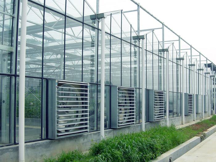Notes on the construction of glass continuous greenhouse ...