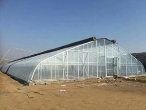 The cost of new greenhouse shed