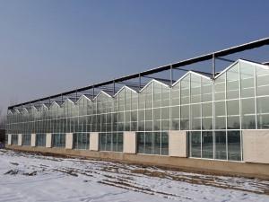 Glass connected Greenhouse