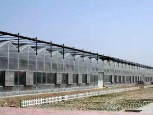 Sunshine Plate Greenhouse