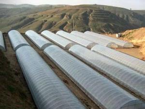 Thin film Greenhouse Shed