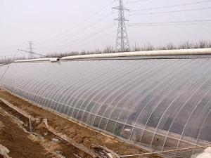 Greenhouse Engineering